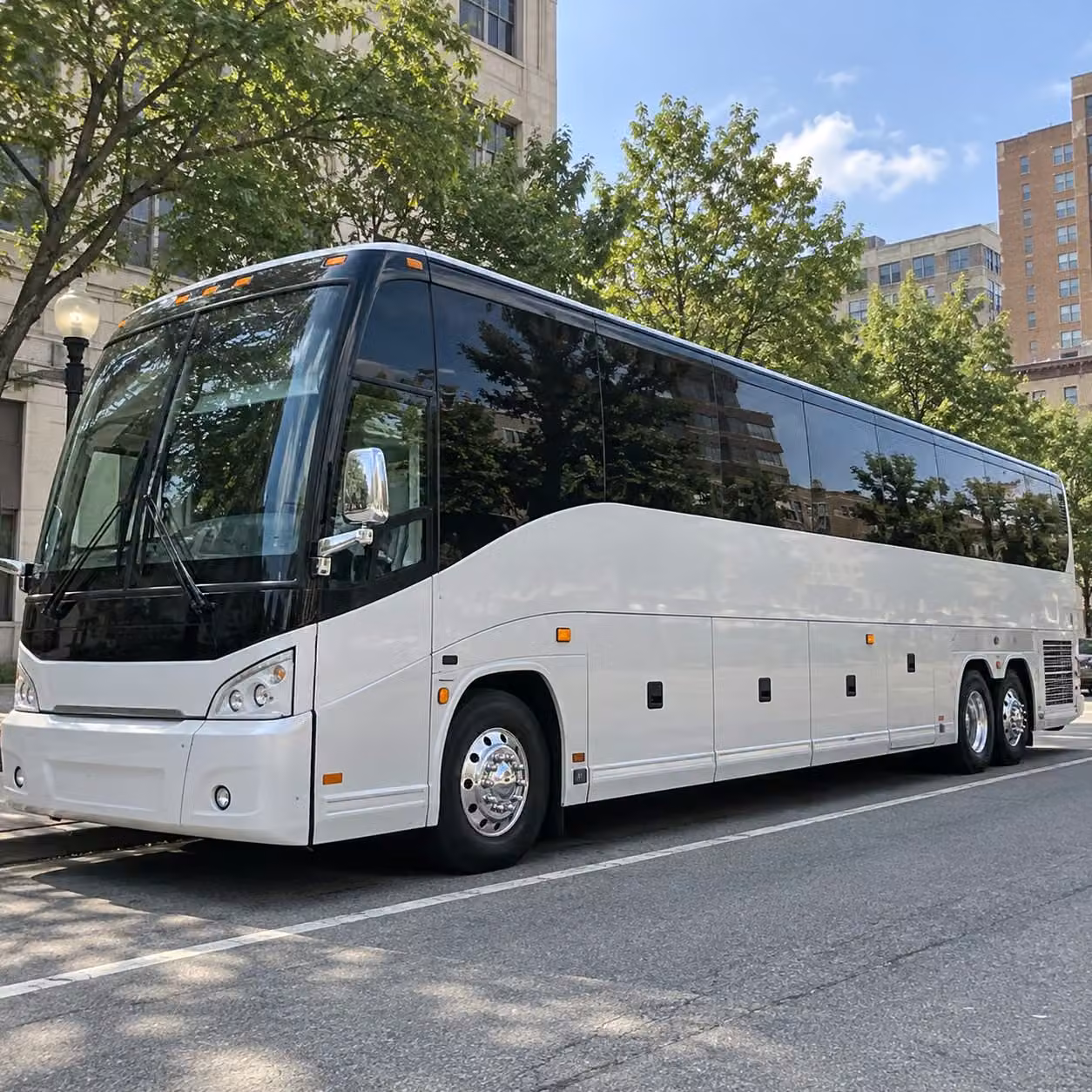 book field trip transportation for roseville charter schools private schools and youth organizations